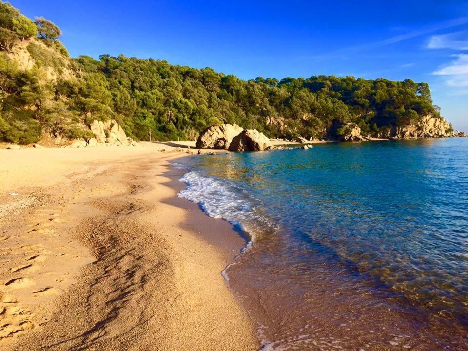 Private Apartments Cala Canyelles Лорет де Мар Екстериор снимка